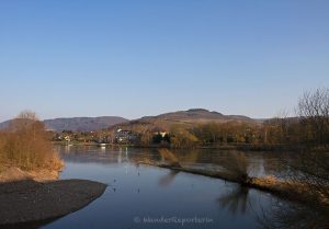 Angekommen an der Liesermündung, bleibe ich eine ganze Weile hier stehen und genieße den Blick auf die Mosel.