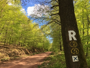 Rennsteig