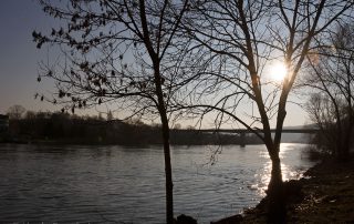 Sonnenuntergang an der Mosel