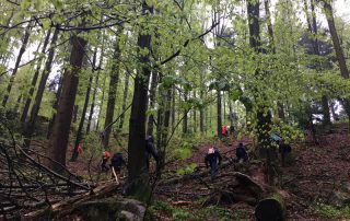 Wandern quer durch die Natur