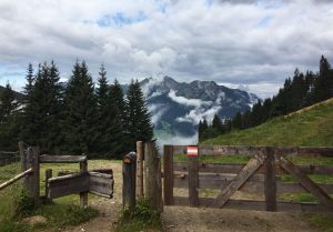 Salzburger Almenweg