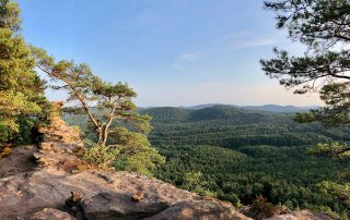 Fernblick auf die Pfälzer Berge