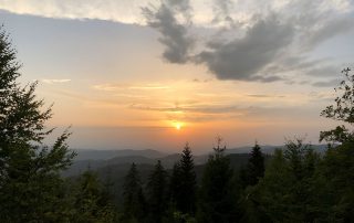 Sonnenuntergang im Schwarzwald