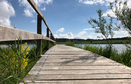 Holzsteg am Jungferweiher