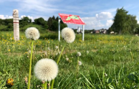 Muße-Platz Lutzerather Panorama