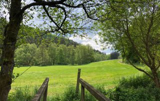 Holzbrücke über den Üßbach