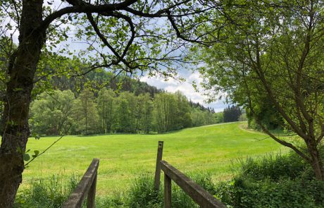 Holzbrücke über den Üßbach