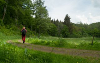 Dem Lärm der Welt davonwandern…