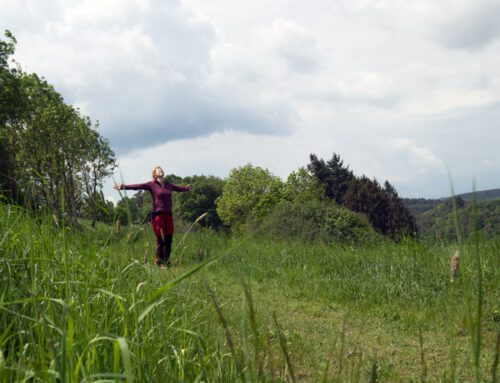 Zivilisationsflucht