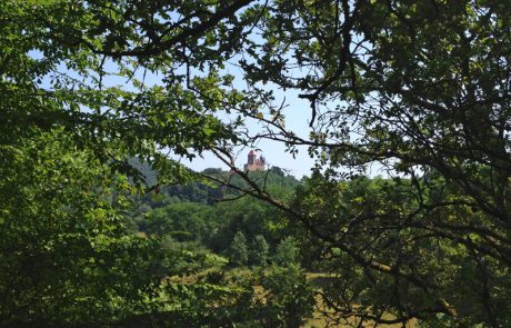 Blick auf Burg Berwartstein