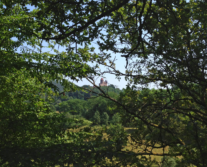 Blick auf Burg Berwartstein