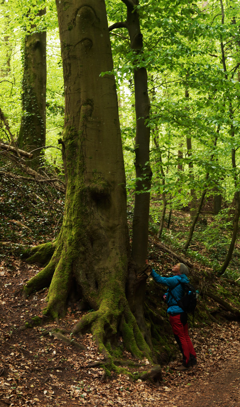 Natur ist auch zum Anfassen da Natur ist auch zum Anfassen da