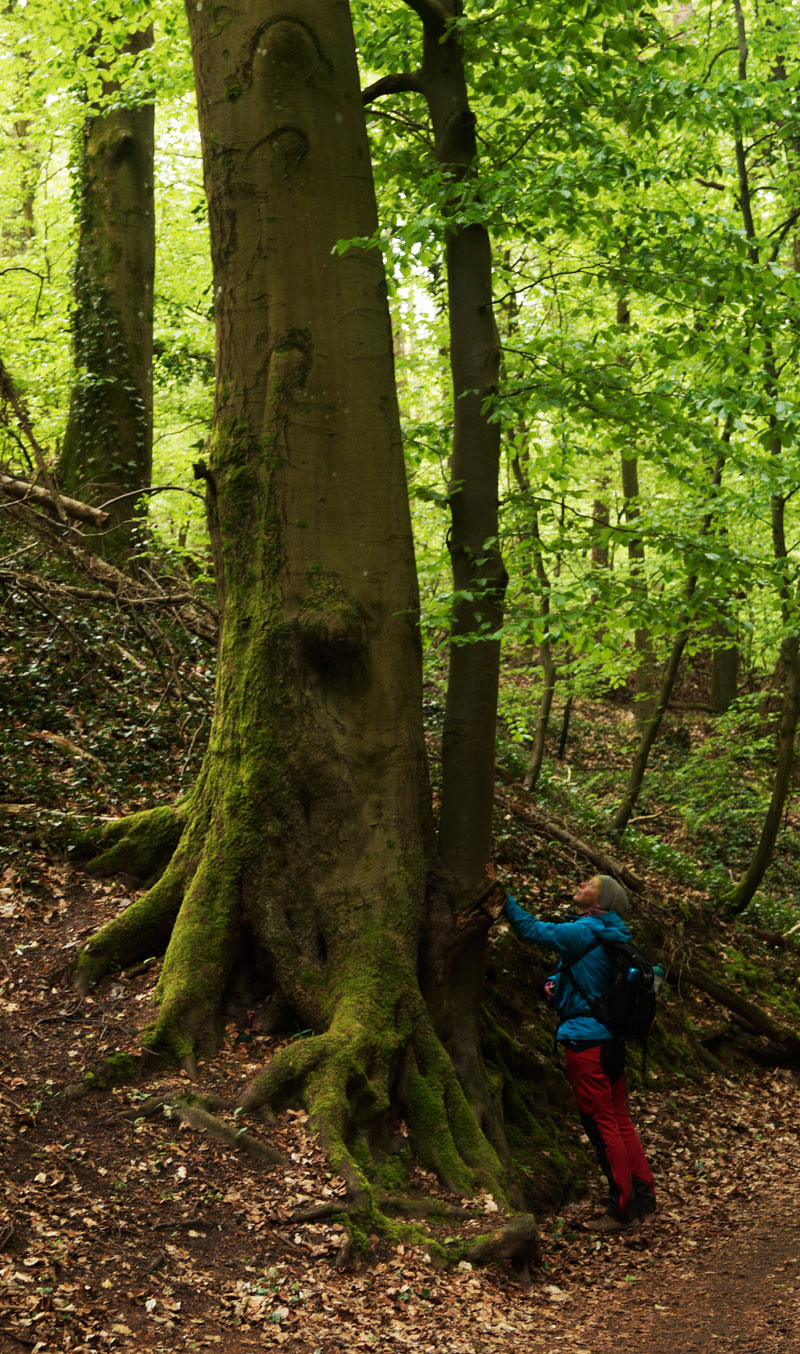 Natur ist auch zum Anfassen da