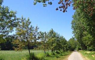 Auf dem Weg nach Rülzheim