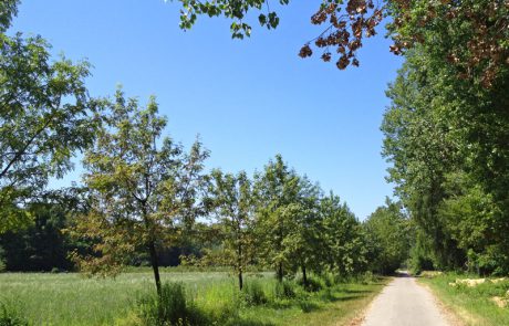 Auf dem Weg nach Rülzheim