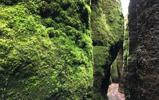 In der Drachenschlucht