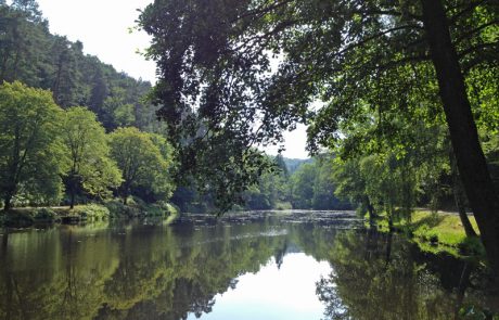 Woog bei Eppenbrunn