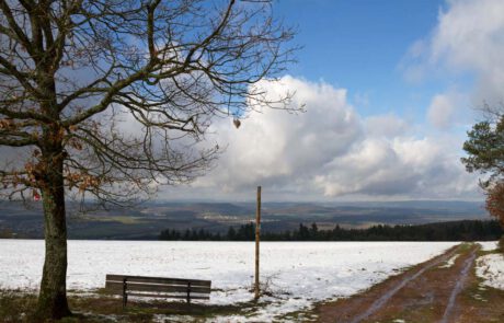 Sonne, Schnee und blauer Himmel