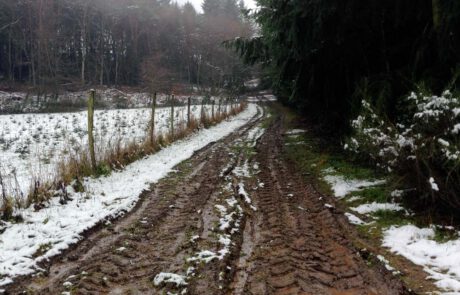 Rutschpartie auf Matschwegen