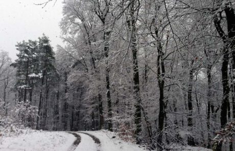 Pilgern im Schnee