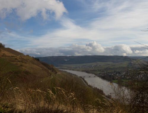 Mosel-Camino (7. Etappe): Klüsserath – Schweich