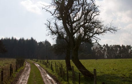 Weg nach Trier