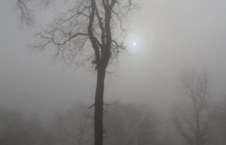 Sonne im Nebel