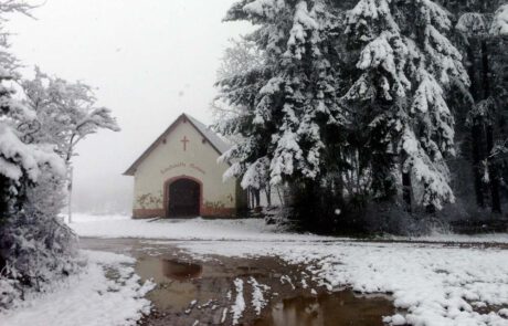 Schutzhütte Minheim