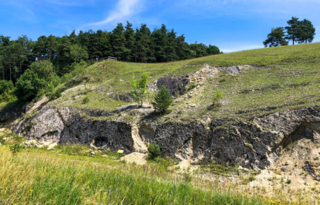 Blick auf das Geotop Kalvarienberg.