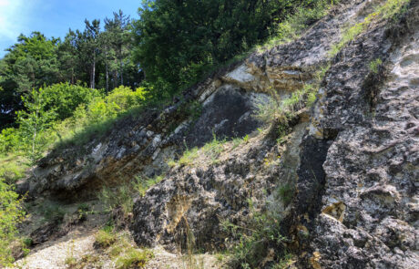 Kraterrand im Geotop Kalvarienberg bei Gosheim