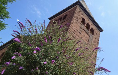 Kirche am Weg