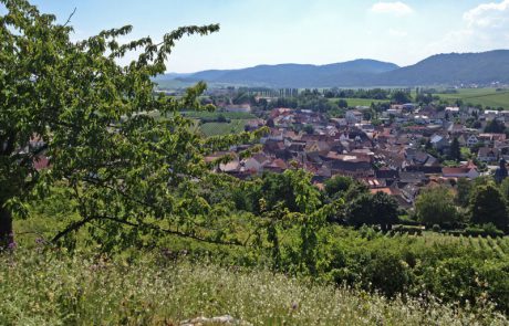 Blick auf Ilbesheim