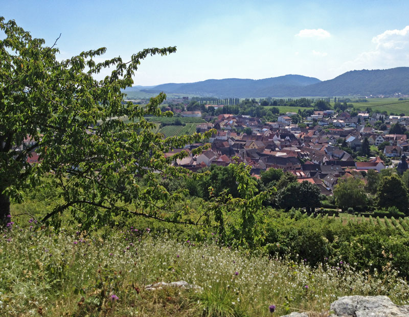 Blick auf Ilbesheim