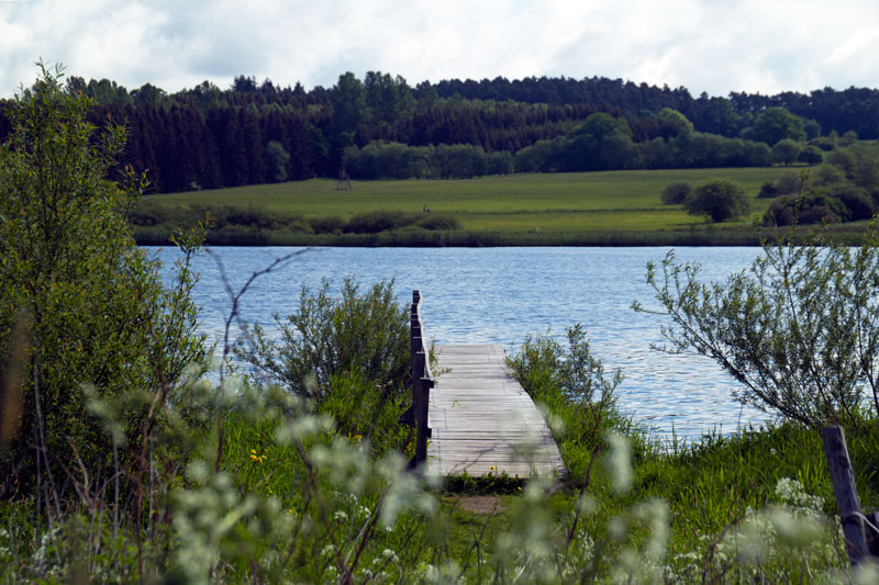 Idylle am Jungferweiher