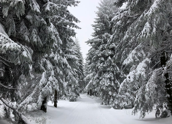 Wanderung durch Märchenwald Wanderung durch Märchenwald