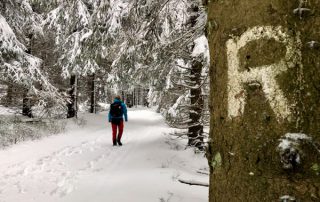 Wandern auf dem Rennsteig