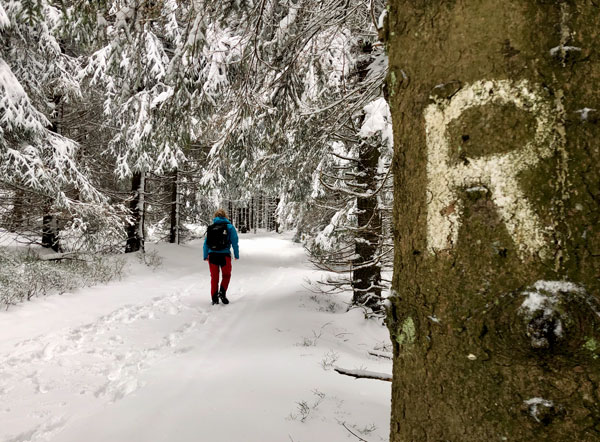 Rennsteig Wandern auf dem Rennsteig