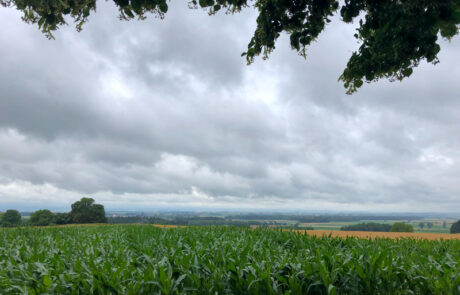 Riesblick bei Trendel