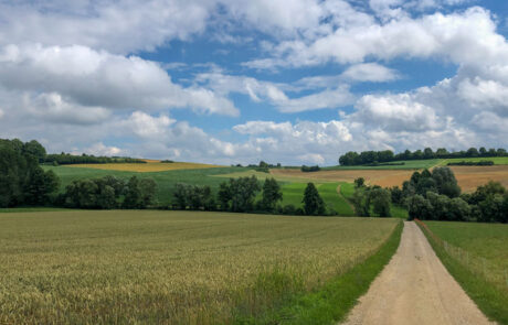 Nach Regen folgt Sonnenschein