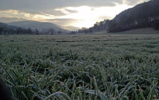 Sonnenaufgang über Mulfingen