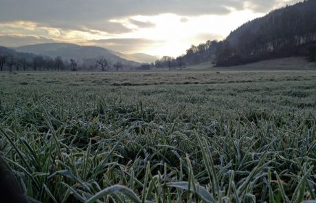 Sonnenaufgang über Mulfingen