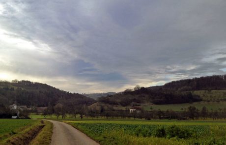 Sonnenschein auf dem Weg nach Marlach