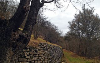 Pilgerweg nach Möckmühl