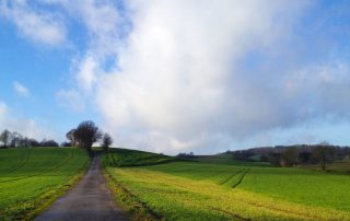 Wandern durch das Angelbachtal