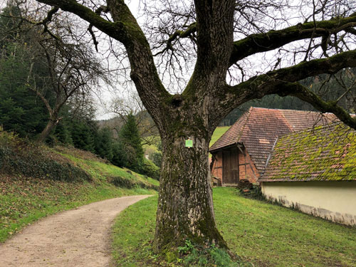 Wanderschuhtest auf gerader Strecke